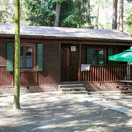 Готель Lesna Ryba Jedlanka Stara Номер фото